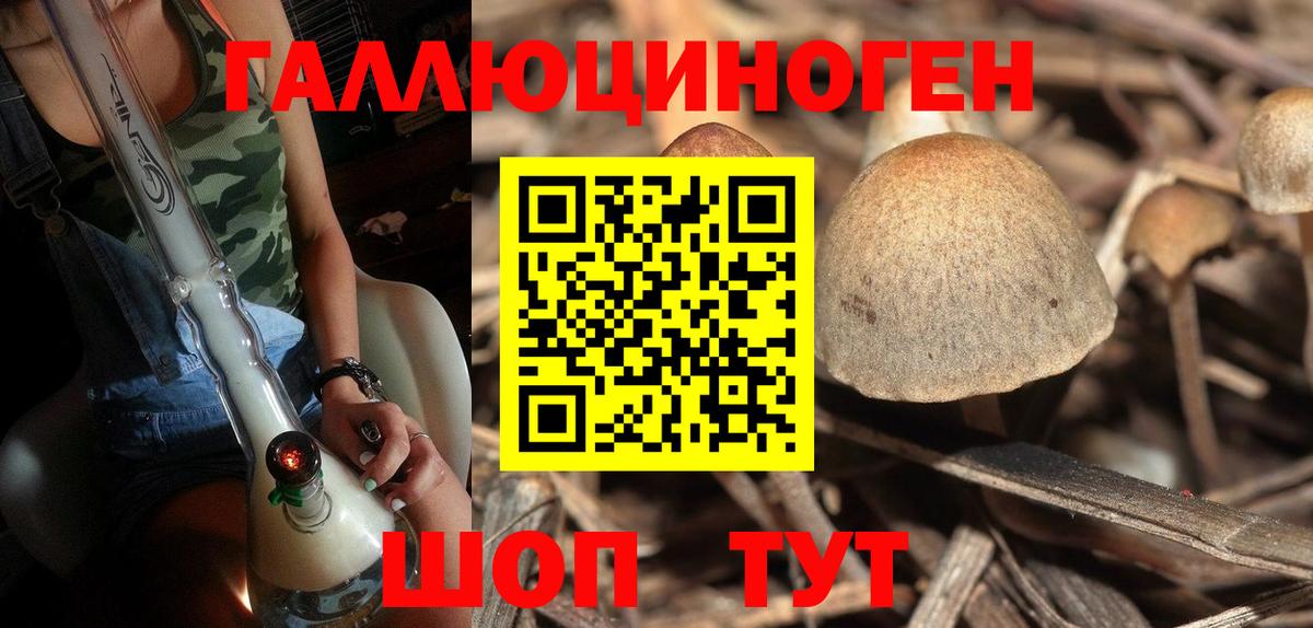 Псилоцибиновые грибы Psilocybe Химки